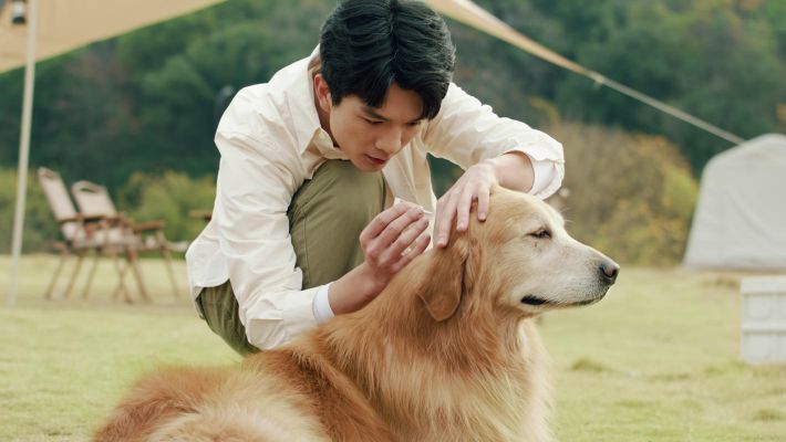 海正动保宣传片